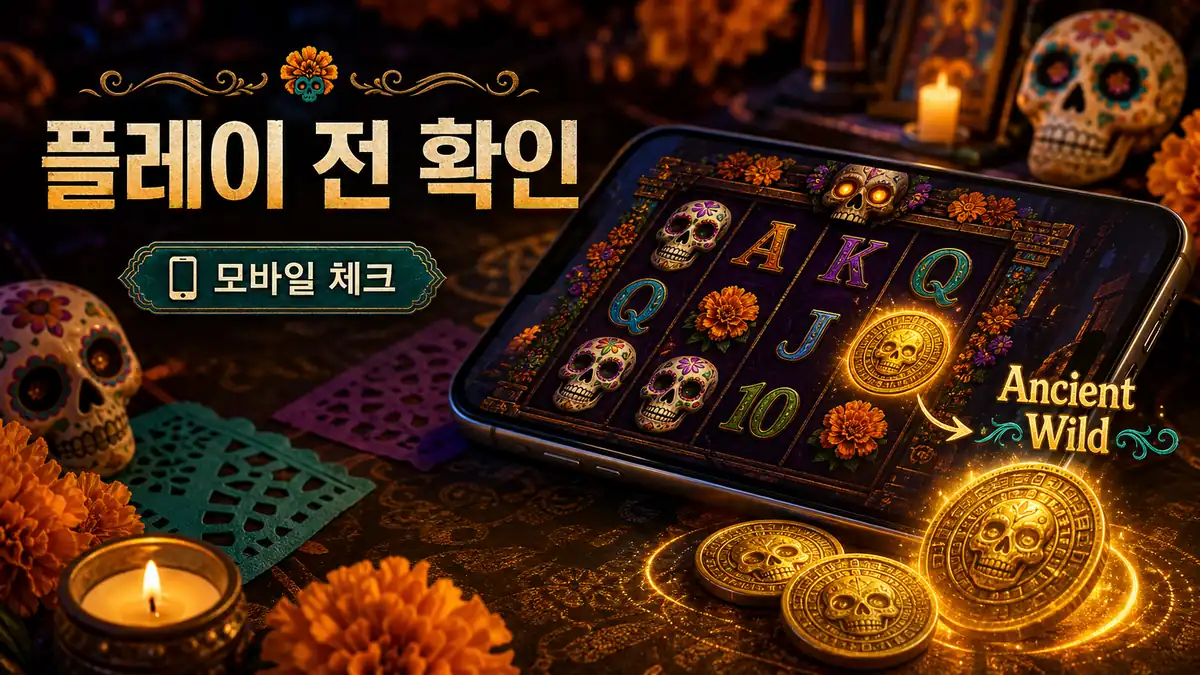 마이크로게이밍 슬롯 플레이 전 확인사항을 정리한 본문 이미지