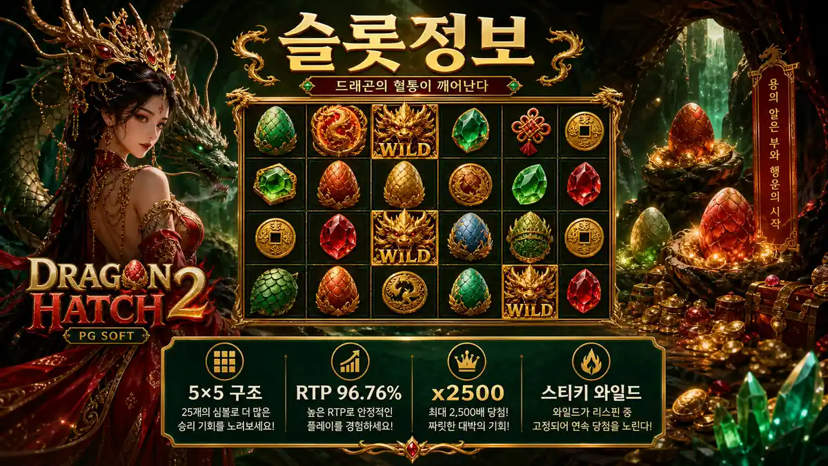 5×5 구조와 스티키 와일드를 정리한 본문 이미지