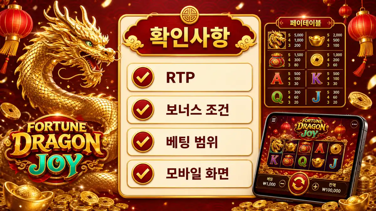 Fortune Dragon Joy 슬롯게임 플레이 전 확인사항 체크 이미지