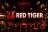 Red Tiger Gaming 슬롯게임 제조사 카드 이미지