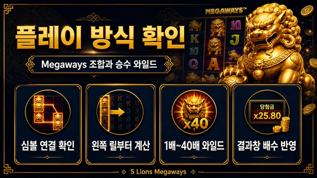 5 Lions Megaways 슬롯게임 플레이 방식 인포그래픽