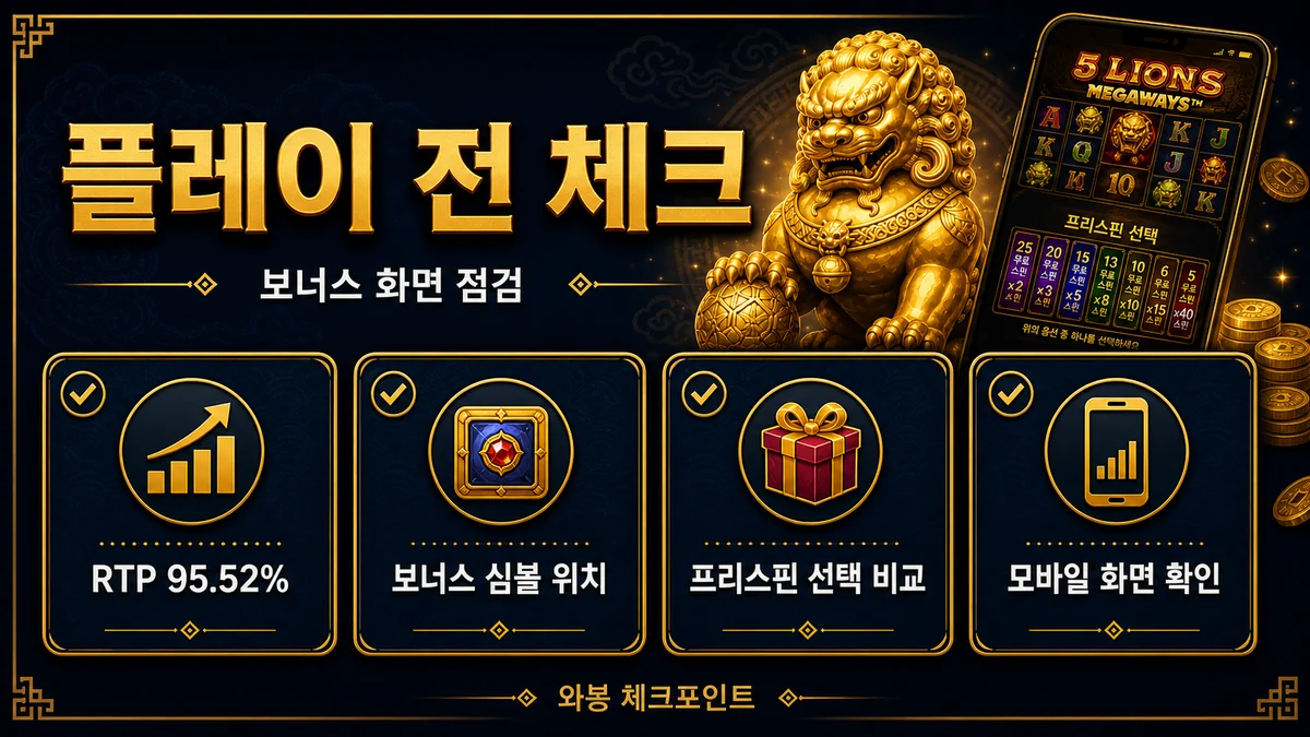 5 Lions Megaways 슬롯게임 플레이 전 체크 인포그래픽