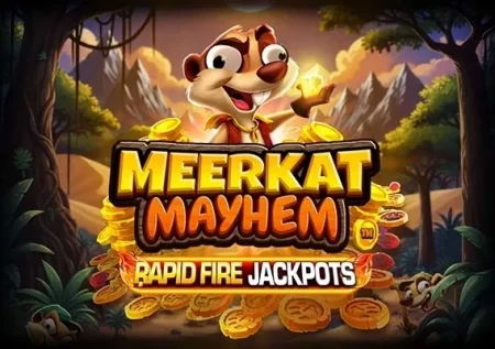 Meerkat Mayhem